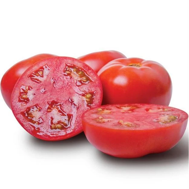 0000822 ayvaz 331 f1 oturak domates tohumu 625