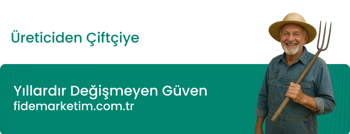 Bir baslik ekleyin 2